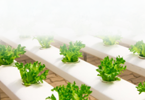 Farming